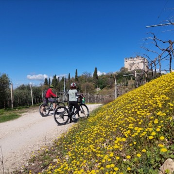 Tour guidato in e-bike tra le colline del Soave e del Valpolicella