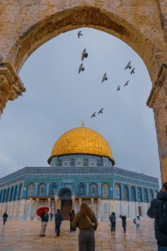 Tour di Gerusalemme 