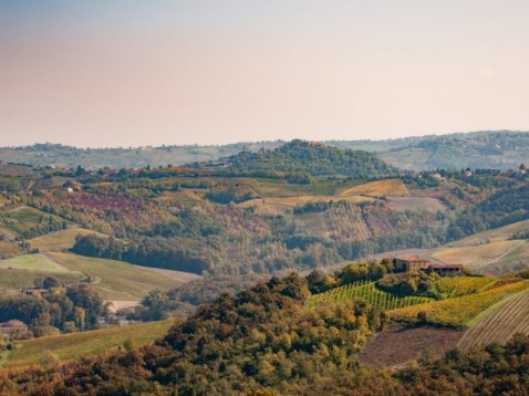 Sapori Piemontesi ad Alba