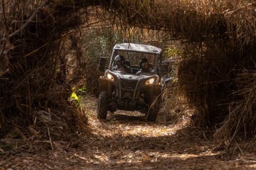 Escursione in Dune Buggy singolo