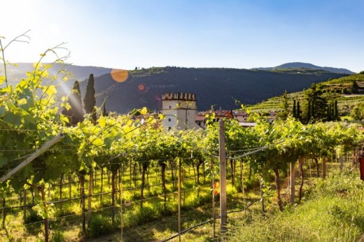 Degustazione e Soggiorno di una Notte presso Le Bignele