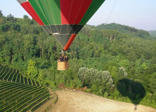 In mezzo al verde