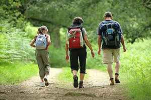 Escursione naturalistica - 4 ore & soggiorno 1 notte
