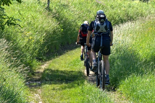 Passeggiata in bicicletta nel parco di Monza