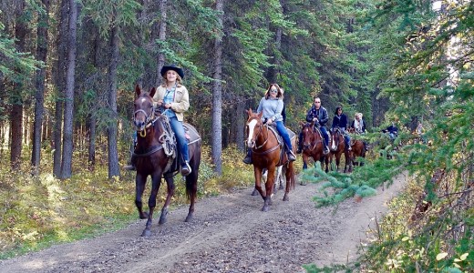 Escursione a cavallo - 2 ore & soggiorno 1 notte