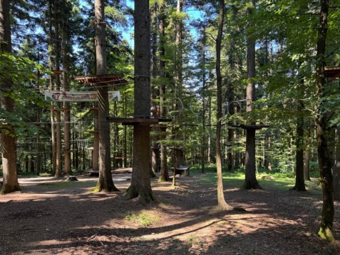 Avventura ed emozioni al Parco Cerwood 