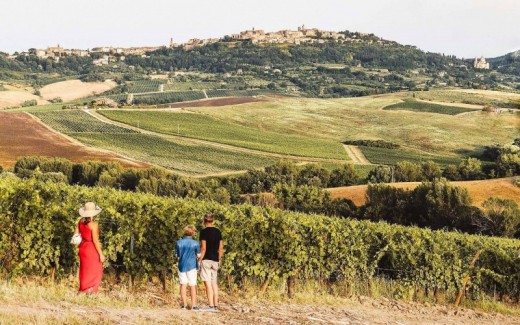 Visita in una cantina tipica fiorentina con degustazione di vini