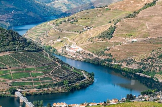 Crociera sul Douro verso Regua