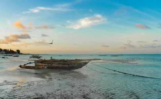 Viaggio Regalo a Zanzibar