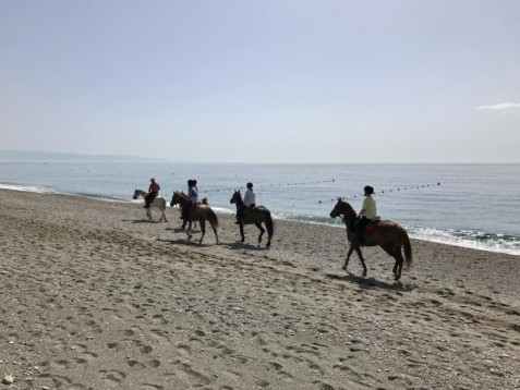 Escursioni a cavallo in Sicilia - 1 settimana