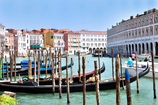 Tour privato di Venezia: esperienza dog friendly