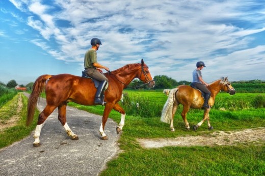 Giro a Cavallo & Pranzo vicino Torino 