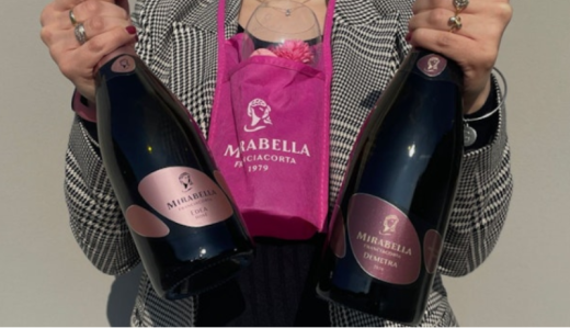 Degustazione vini con visita guidata nelle Cantine e nei Vigneti Franciacorta