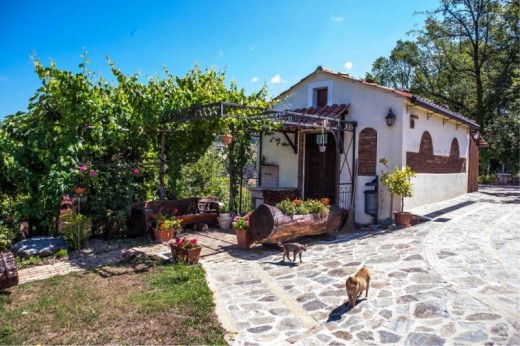 Notte in Casa sull'Albero con Visita Guidata alla Tenuta