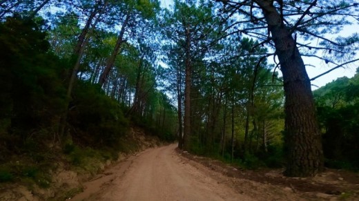 Tour in bici al tramonto per due persone