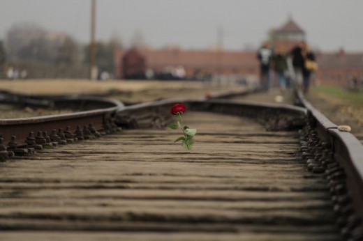 Auschwitz-tour con transfer privato da Cracovia