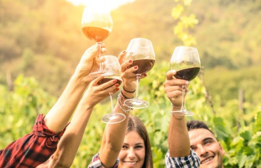 Tour di degustazione di vini della Valle del Douro da Porto