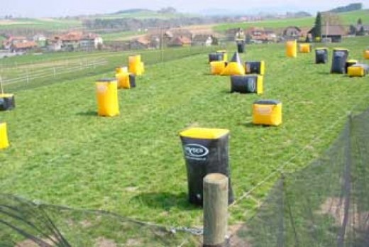 Paintball nei pressi di Berna- pacchetto piccolo