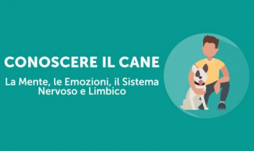 Corso Regalo Conoscere il Cane: La Mente, le Emozioni, il Sistema Nervoso e Limbico