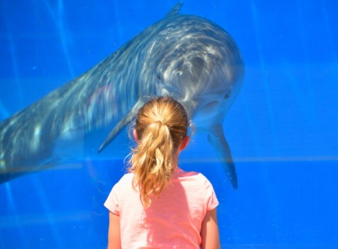 Ingresso acquario Cattolica e soggiorno per tutta la famiglia