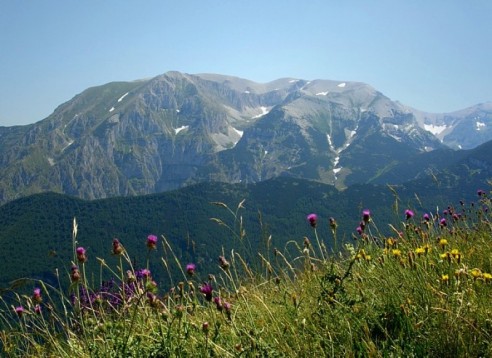 Accesso Parco Avventura Majella di 3 ore & soggiorno 2 notti