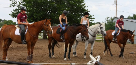 Lezione di equitazione