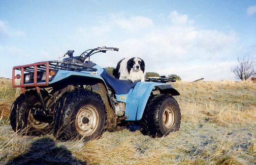 Quad, Buttrito (UD) 2 persone