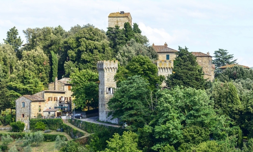 Chianti: tour con sommelier, visita di cantina biologica e degustazione di 3 vini