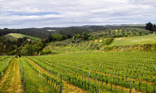 Tour di un giorno in Toscana tra Chianti, Siena e San Gimignano