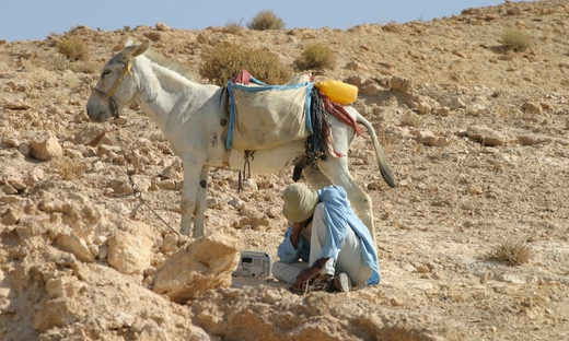 Private day tour from Tel Aviv: Negev and the Beersheba region
