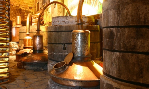 Tequila Tour