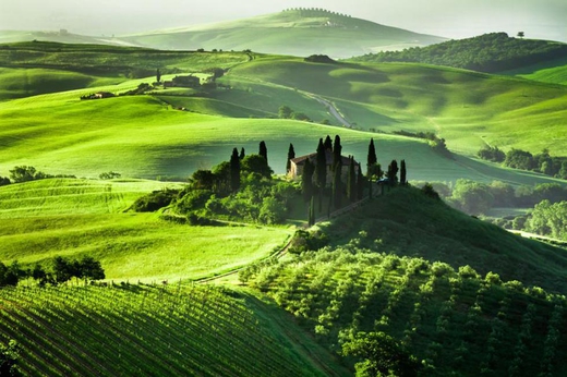 Colori e odori del Chianti