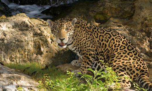 Tour del Xcaret Eco-Waterpark