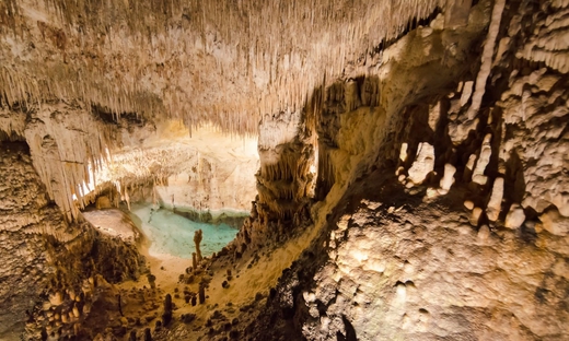 Vsita guidata delle Grotte del Drago