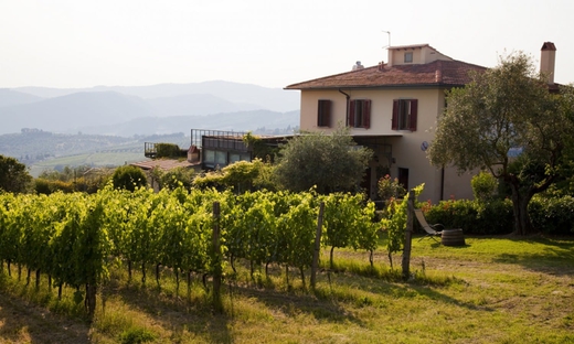 Visita guidata di una fattoria Bio e degustazione vino