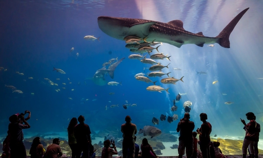 Australia Multi City pass fper 5,7 o 10 attrazioni