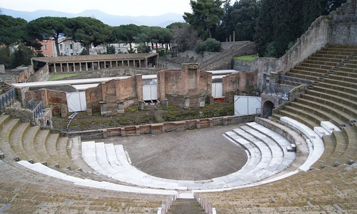 Pompei, Ercolano e Vesuvio: tour privato di un giorno da Napoli