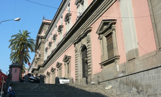 Museo Archeologico di Napoli: biglietto d'ingresso e tour guidato