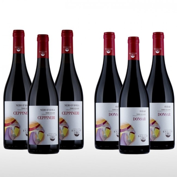 Rossi siciliani a confronto: Nero d'Avola vs. Syrah 