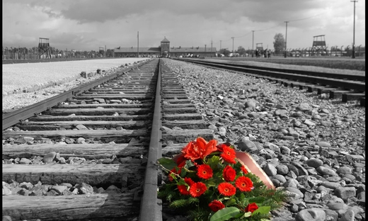 Tour del Museo e del Memoriale di Auschwitz-Birkenau da Cracovia