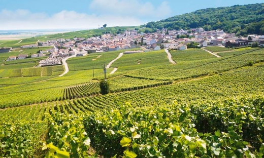 Escursione di un giorno nei vigneti e cantine di Champagne