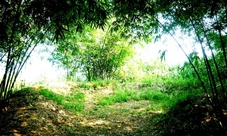 Excursion to Vietnamese Demilitarized Zone