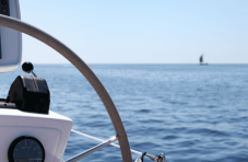 Gita in catamarano all'Asinara
