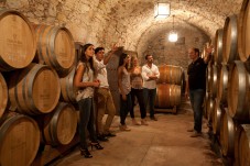 Visita guidata a Oller del Mas da Barcellona con degustazione di vino, tapas e cava