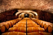 Tour e Degustazione 3 vini a scelta