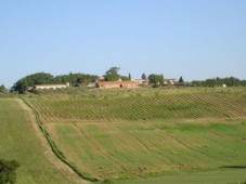 Le colline umbre