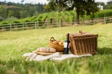 Picnic e degustazione di vino a Parma