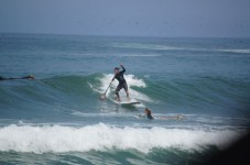 Sessione di SUP della durata di un'ora a Jesolo.