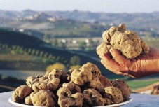 Picnic in Langa alla ricerca dei tartufi