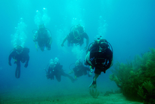 Immersione, Rio Marina (LI) con Noleggio Attrezzatura